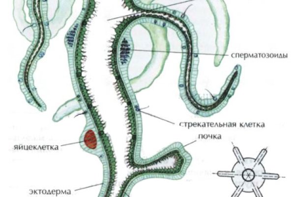 Регистрация на кракен