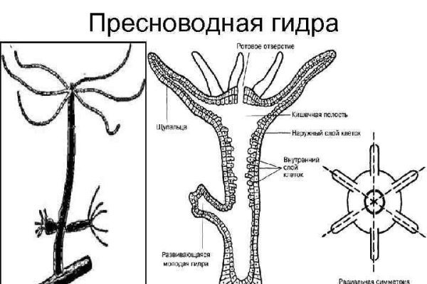 Ссылки на сайты даркнета