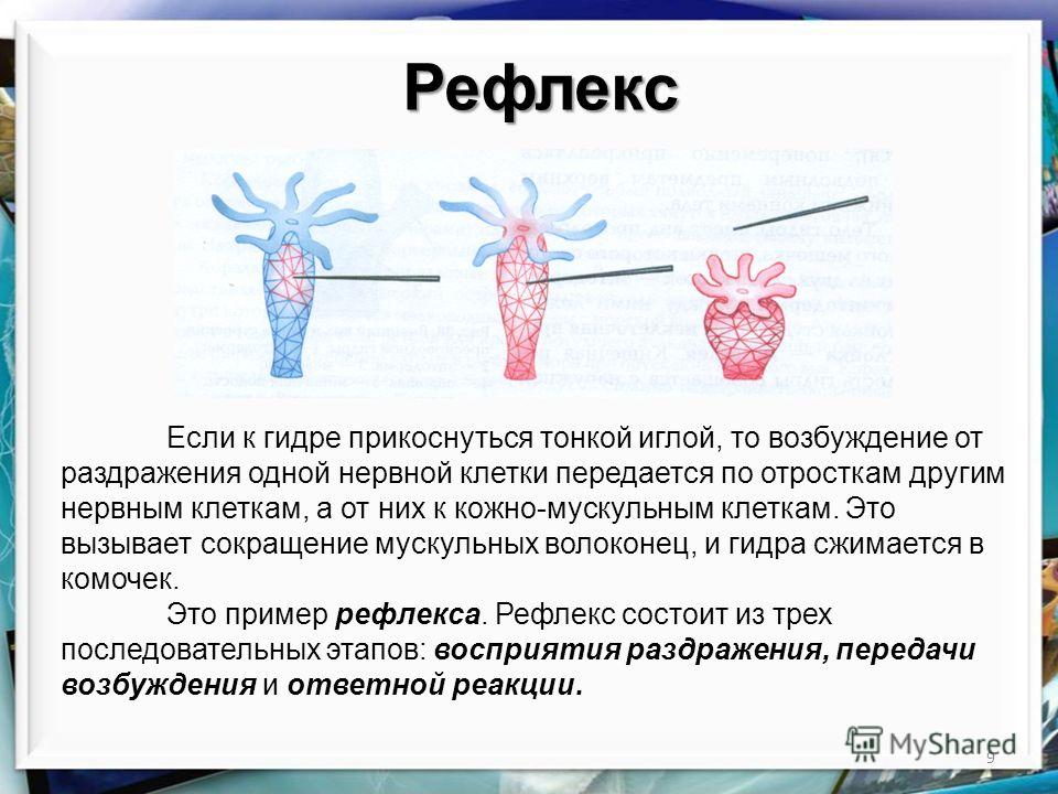 Кракен ссылка в тор