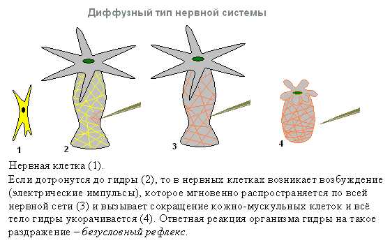 Kraken 14at сайт